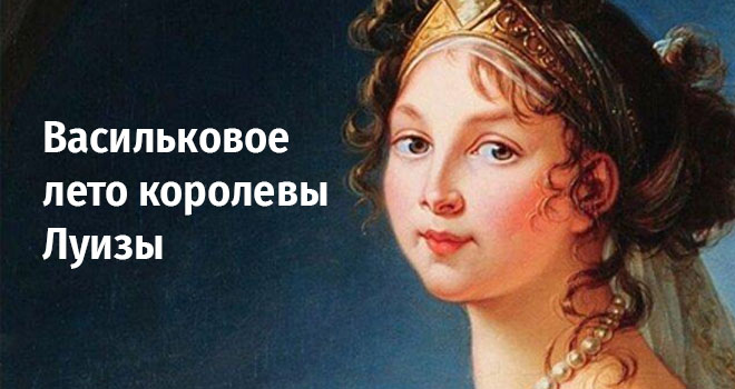 Васильковое лето королевы Луизы (12+)