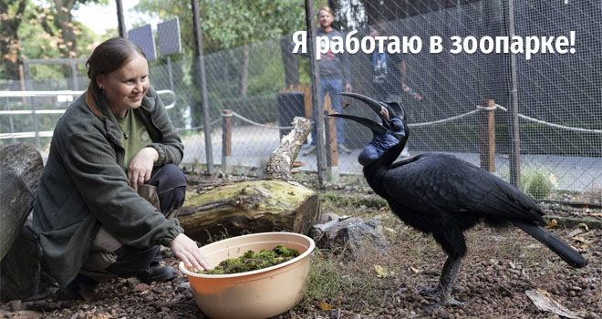 Я работаю в зоопарке! (12+)