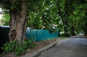 565A0136.JPG