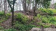 IMG_4167.jpg
