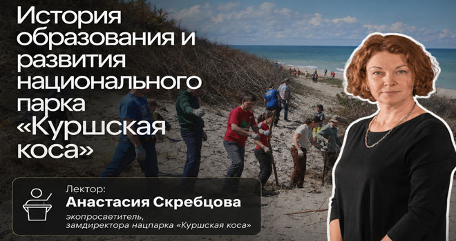 История образования и развития национального парка «Куршская коса» (12+)