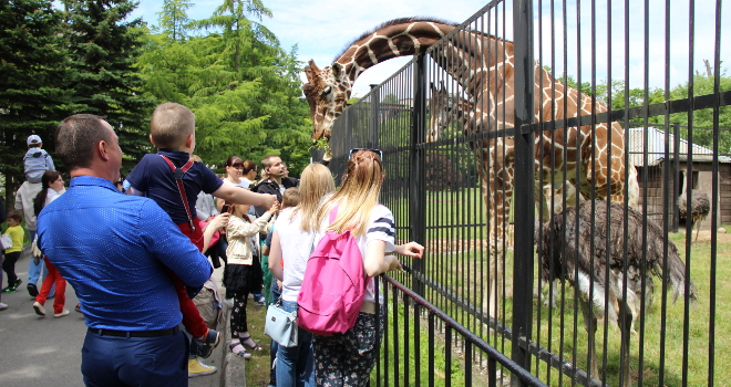 Калининградский зоопарк приглашает на экскурсию из цикла «Другой зоопарк» – «Тропические гиганты»