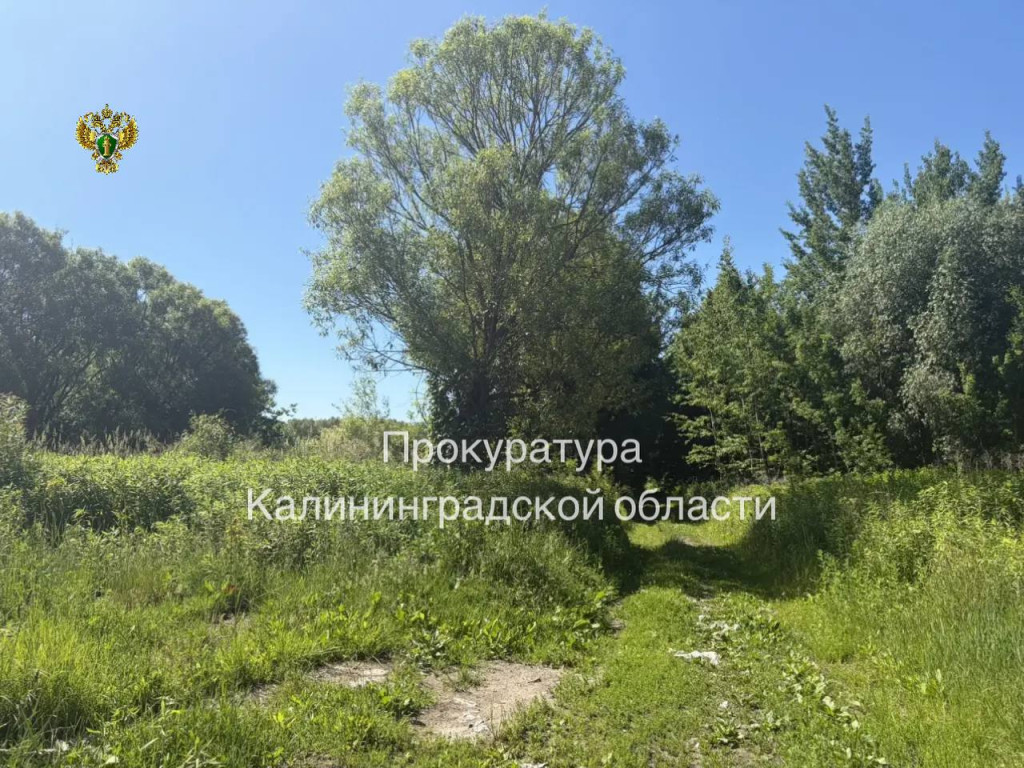 прок2.jpg