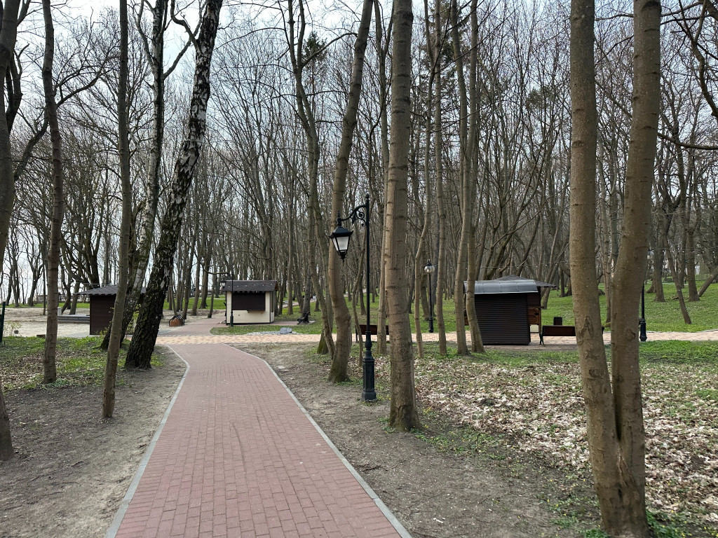 беккер2.jpg