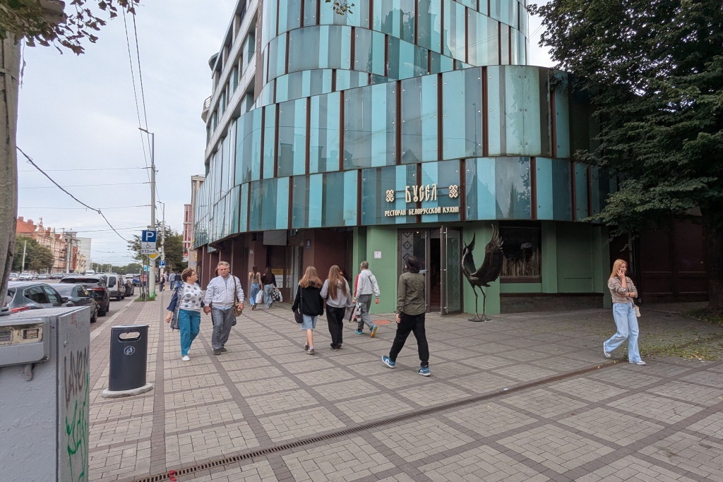 DSC3_бусел,ресторан,общепит,ленинский проспект.jpg