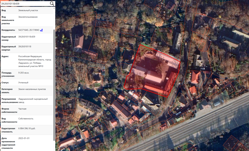 дуб кадастр.png