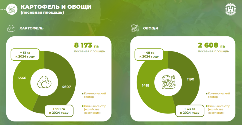 картофель.png