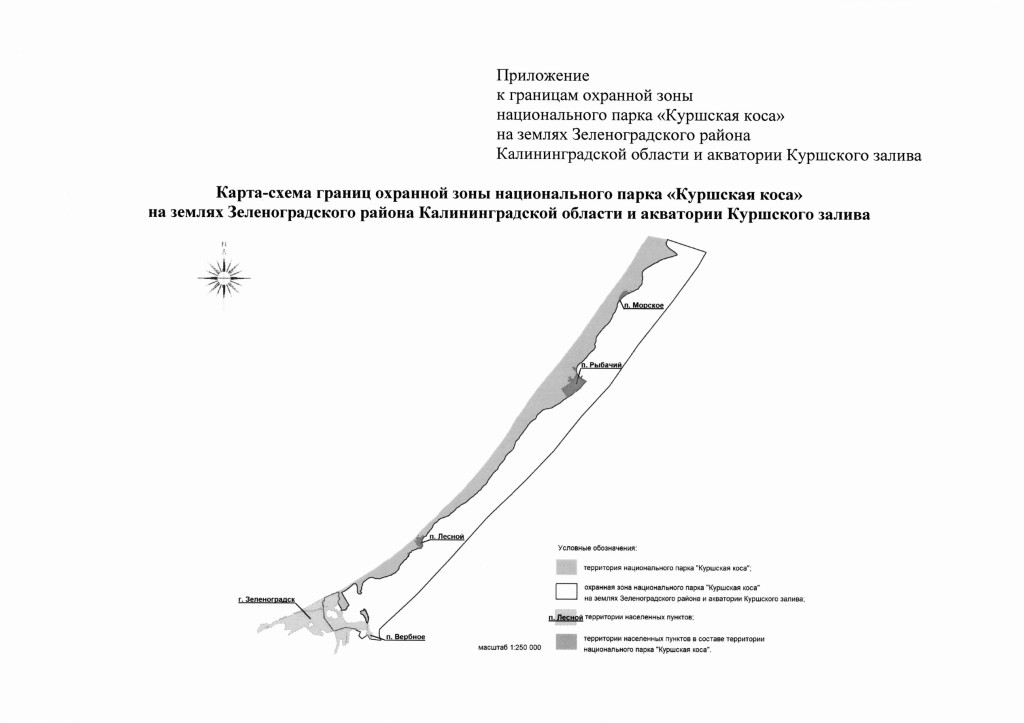 куршская коса.jpg