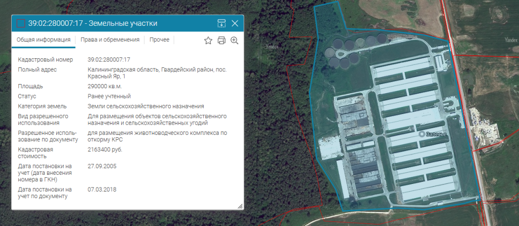 каштановка.png