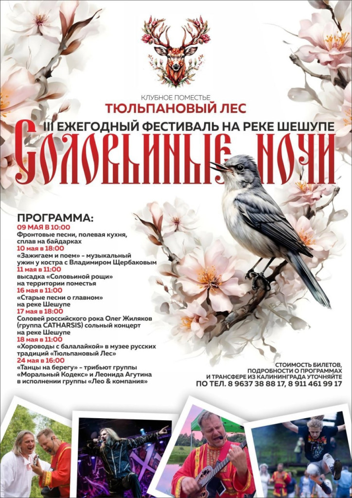 соловьи.jpg