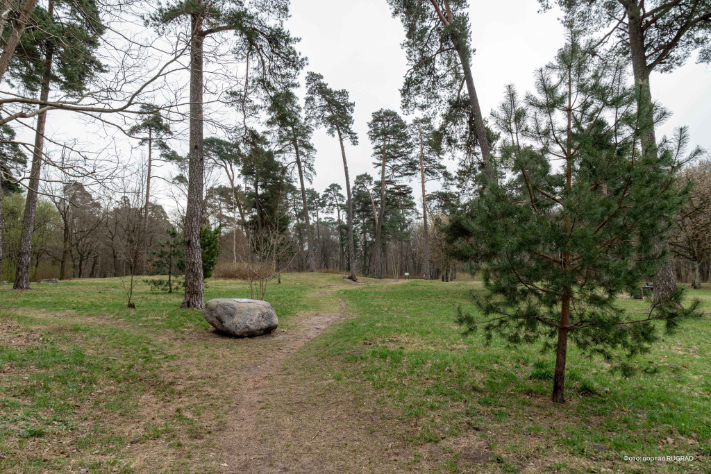 P2030857 теодор кроне.jpg