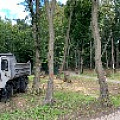 IMG_0297.JPG