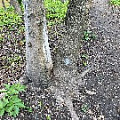 IMG_2306.JPG