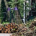 IMG_0289.JPG