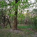 565A8802.JPG