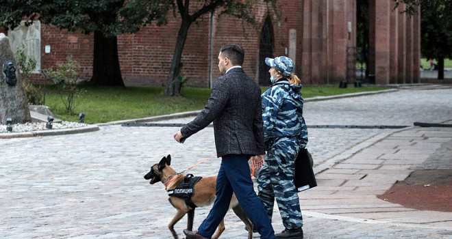 «Этот конвейер не остановить»: обзор мероприятий на выходные