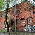 IMG_3518.jpg