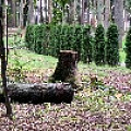 IMG_0276.JPG