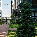 P1080818.jpg