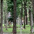 IMG_0239.JPG