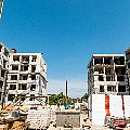 P1080867.jpg