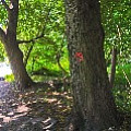 565A9344-1.jpg