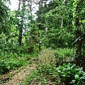 565A9668.JPG