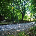 565A9343-1.jpg