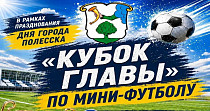 Кубок Главы по мини-футболу (6+)