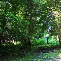 565A9341-1.jpg