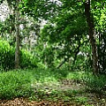565A9745.JPG