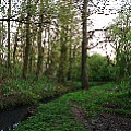 565A8838.JPG
