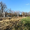 565A8461.JPG