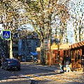 565A1213.JPG