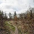 P2030912.jpg