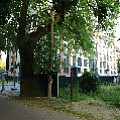 565A0080.JPG
