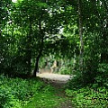 565A9728.JPG