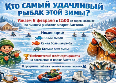 Соревнования по зимней рыбалке (6+)