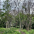 IMG_2295.JPG