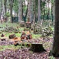 IMG_0283.JPG