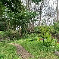 IMG_4177.jpg
