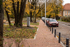 «Проредили Каштановый парк»