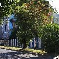 565A9696.JPG