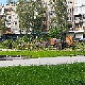 IMG_4977 вырубка Фрунзе.jpg