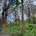 IMG_2296.JPG