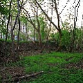 565A8813.JPG
