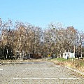 565A8467.JPG