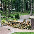 IMG_0246.JPG