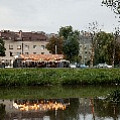 DSC_1069.jpg