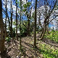 IMG_2298.JPG